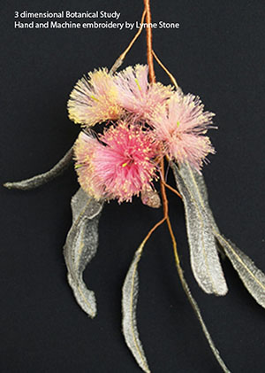 Eucalyptus sideroxylon2